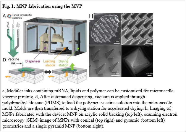 Fig 1 MNP fabrication using the MVP